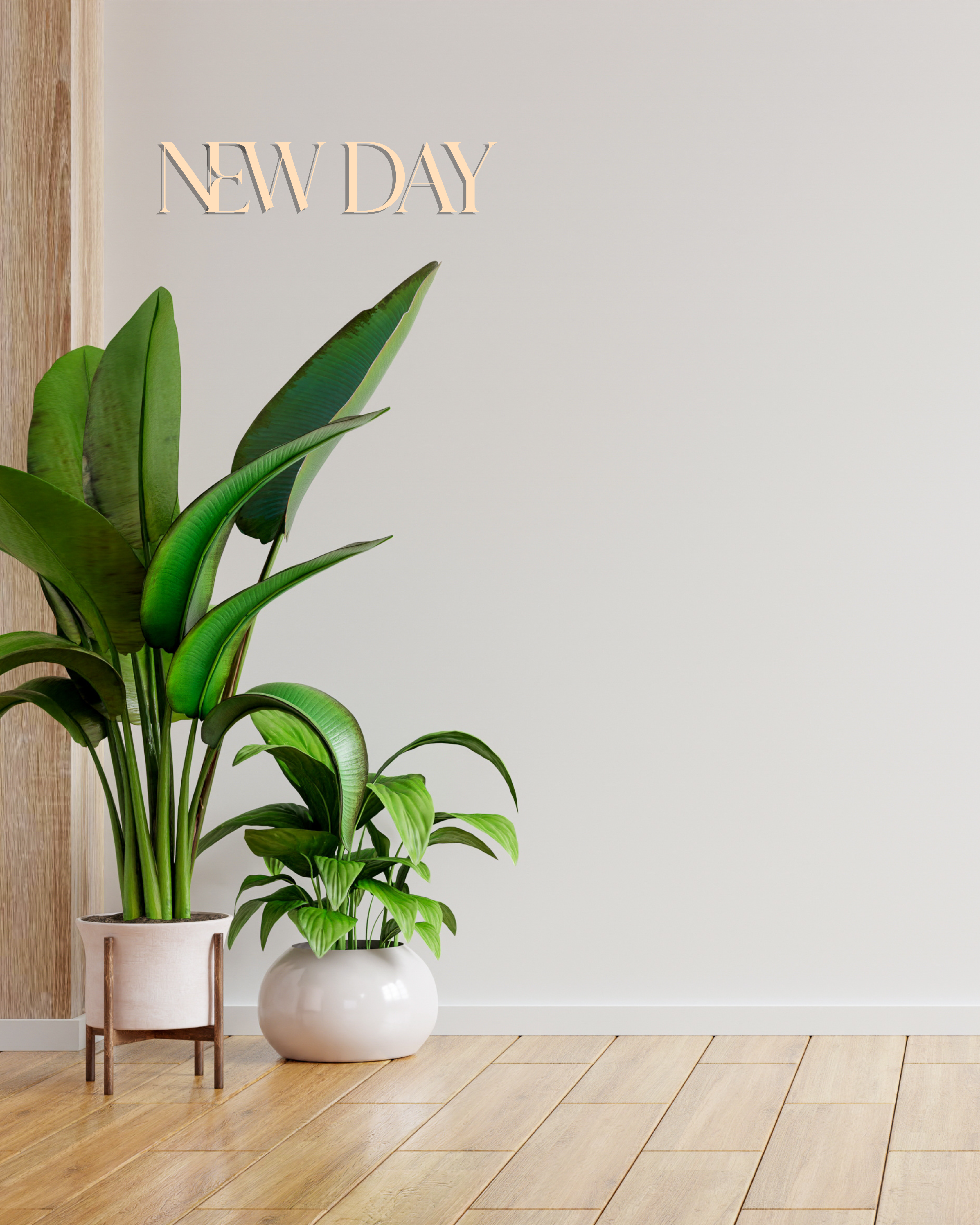 New Day - Inspirational Wooden Wall Decor
