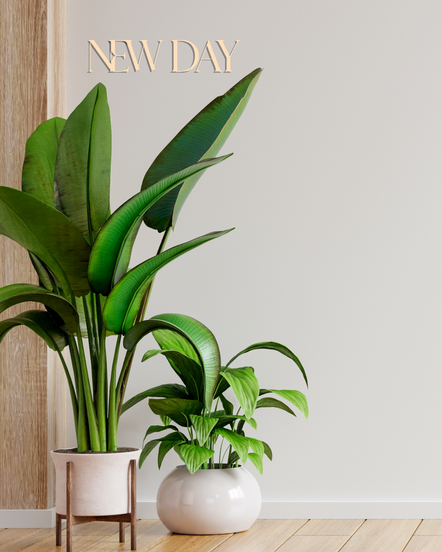 New Day - Inspirational Wooden Wall Decor