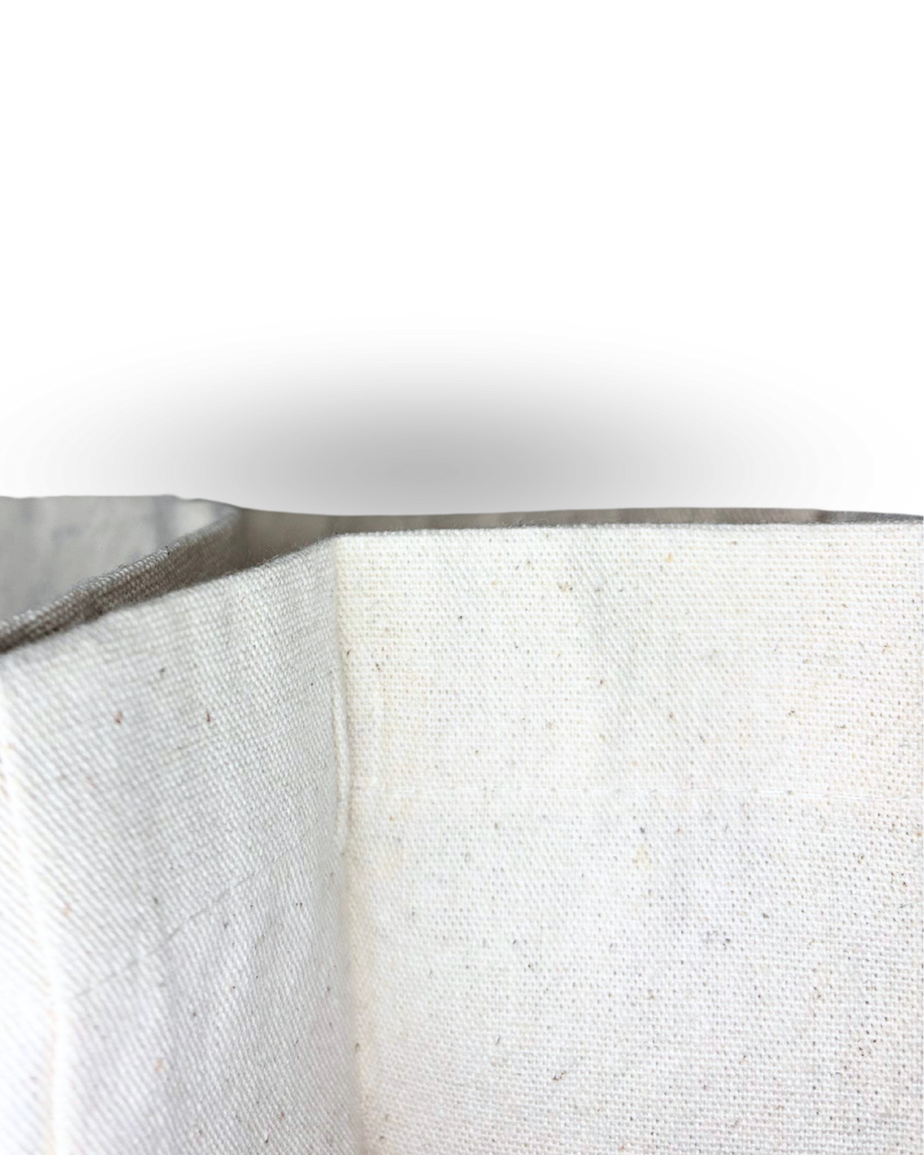 Catch Flights Not Feelings- Quote Canvas Tote Bag Printed